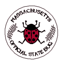 massachusetts state bug bug0063.gif